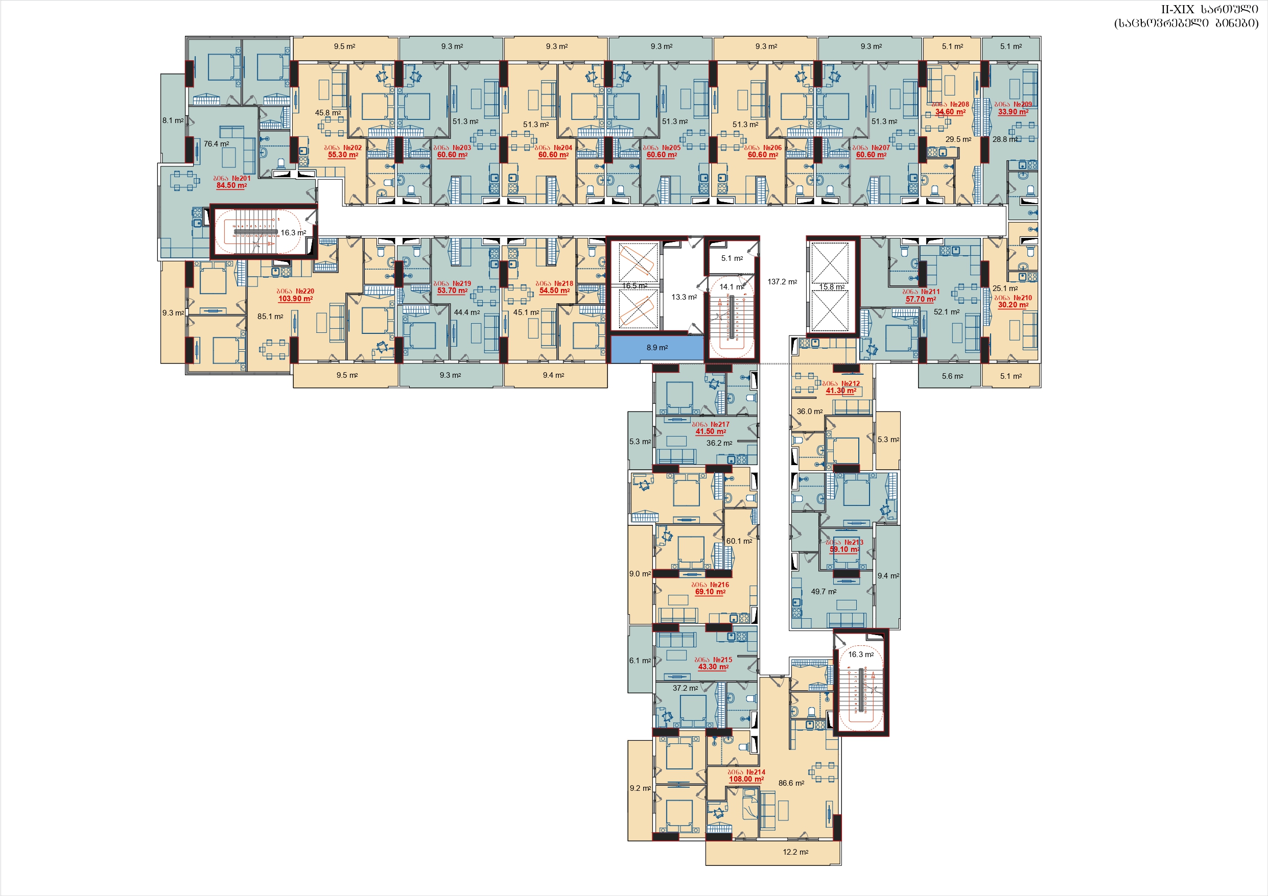 ტიპიური სართულის გეგმა